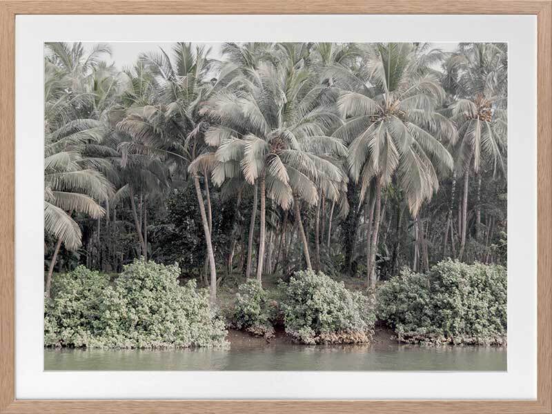 Shady Shoreline Framed Art Print