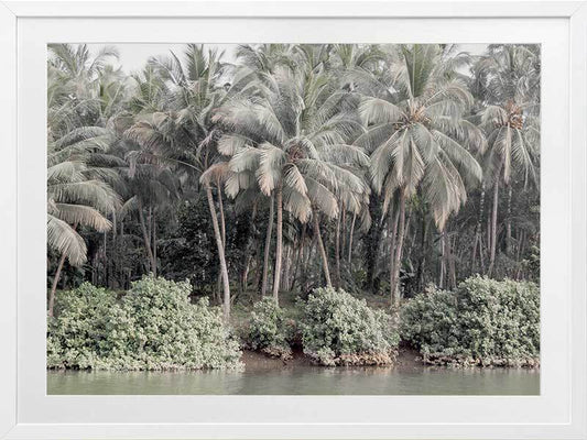 Shady Shoreline Framed Art Print