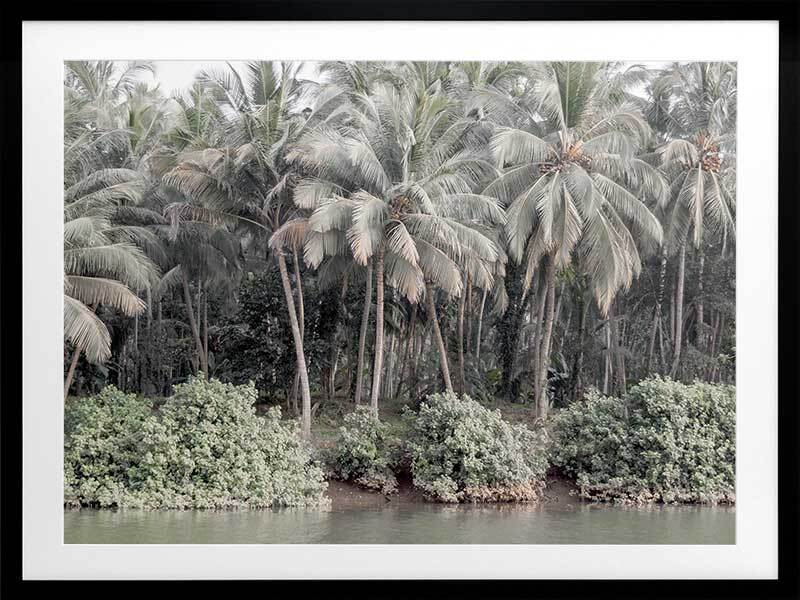 Shady Shoreline Framed Art Print