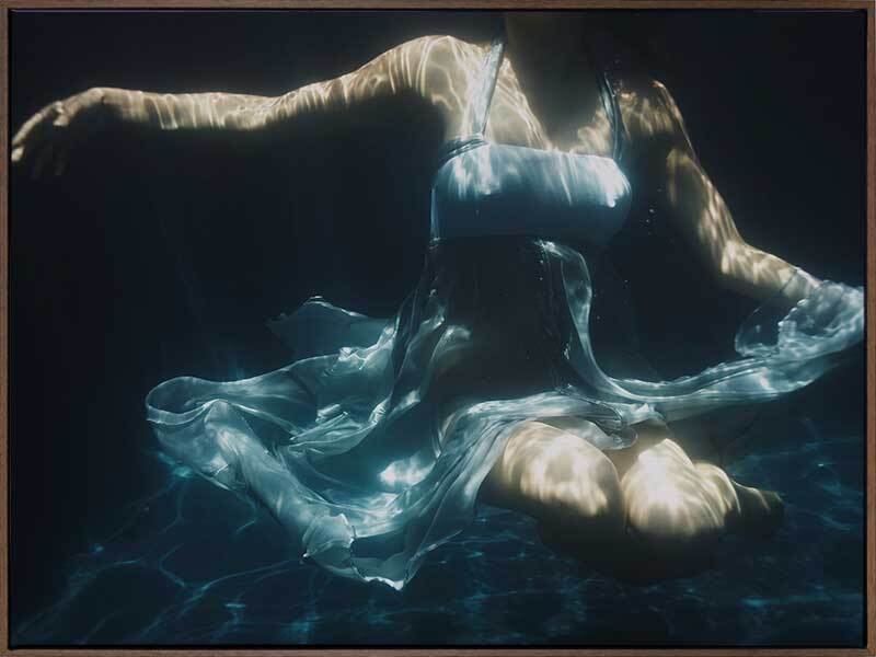 Submerged Canvas Art Print