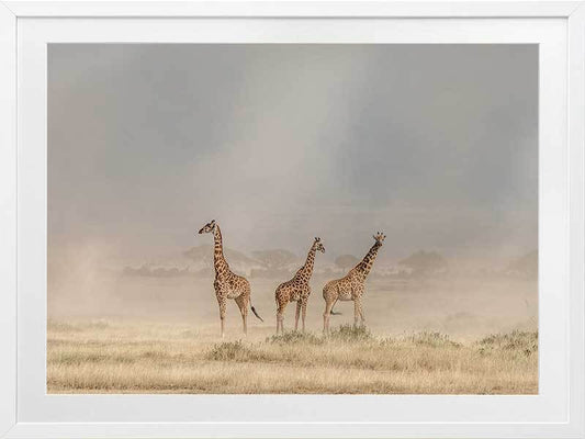 It's a Giraffe's world Framed Art Print